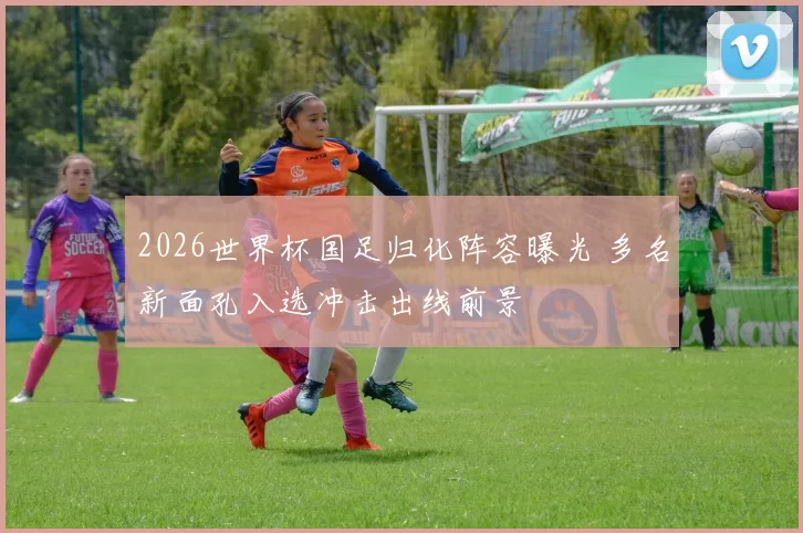 2026世界杯国足归化阵容曝光 多名新面孔入选冲击出线前景